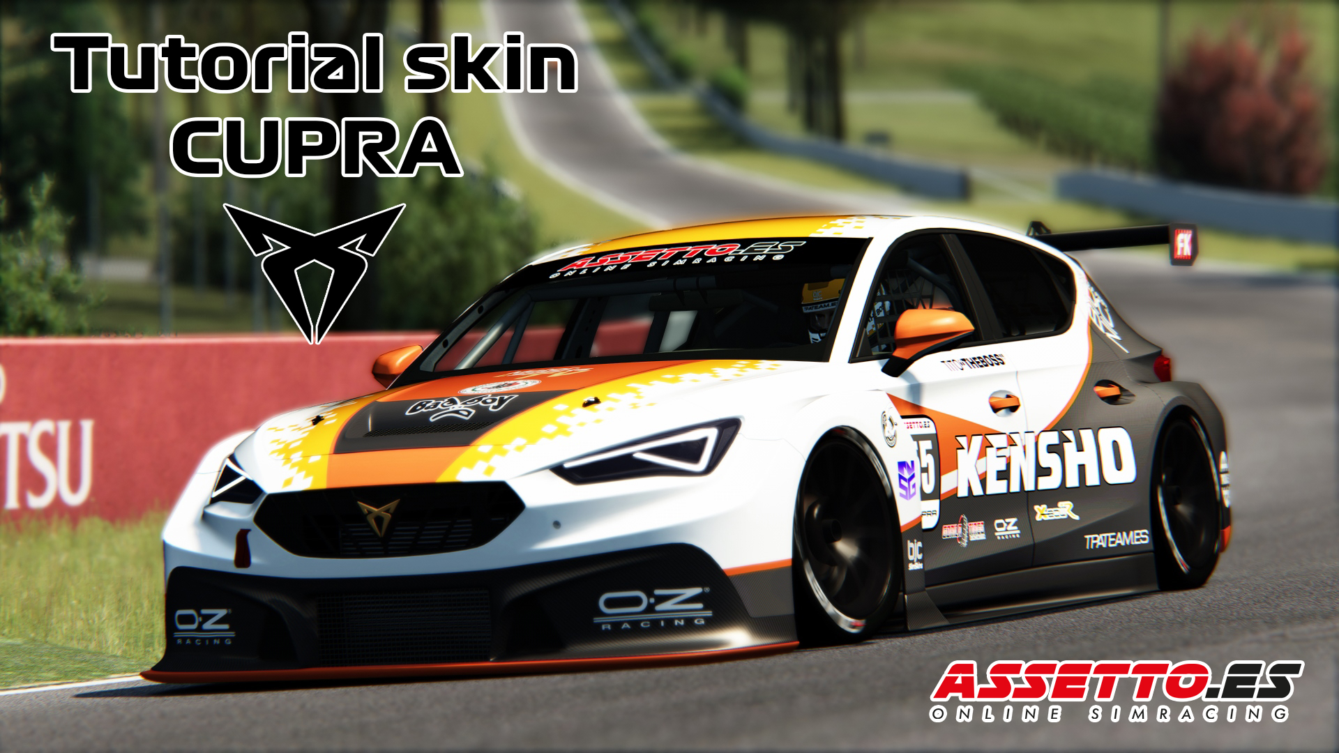 tutorialskincupra
